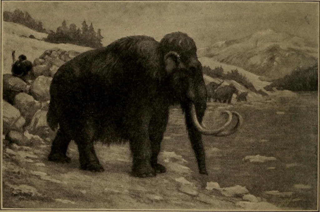 An illustration from Men of the old stone age, their environment, life and art, 1918, leaf 249