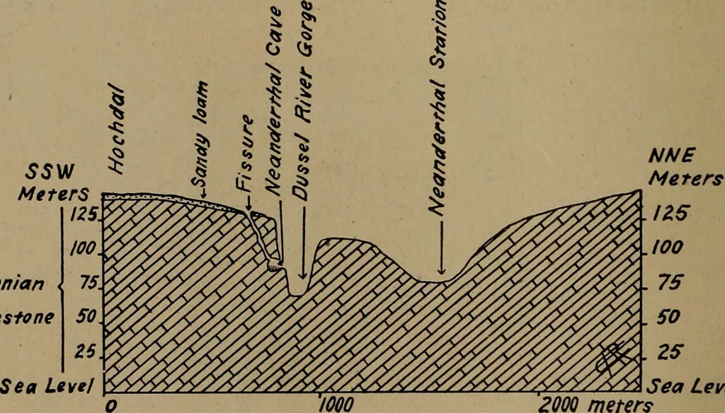 An illustration from Men of the old stone age, their environment, life and art, 1918, leaf 257
