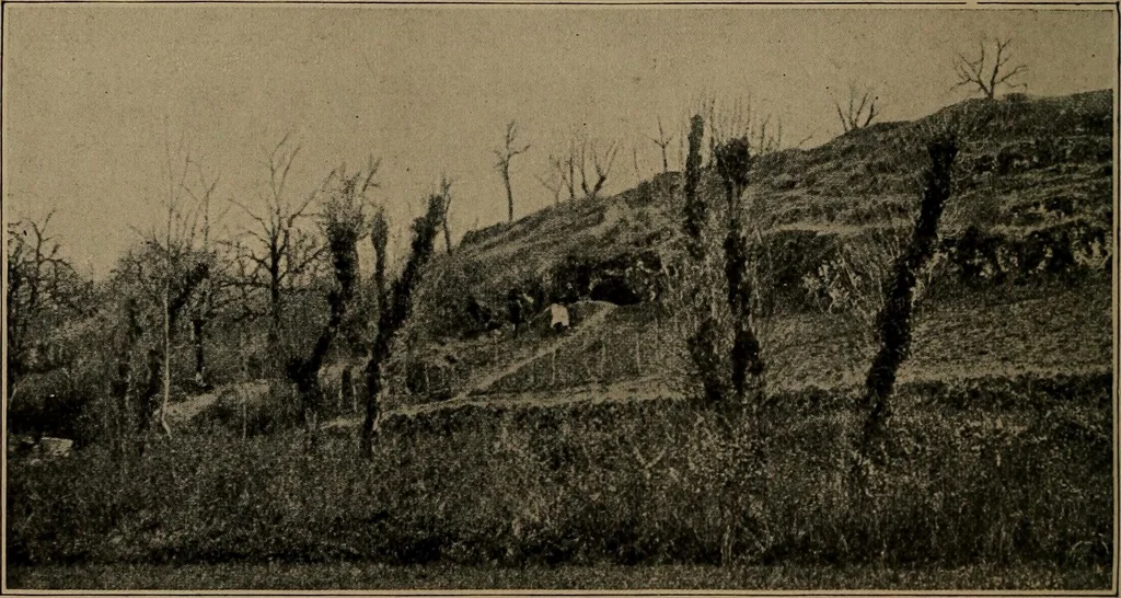 An illustration from Men of the old stone age, their environment, life and art, 1918, leaf 263