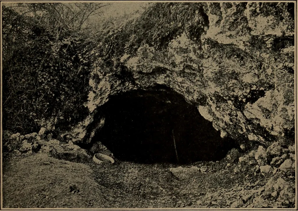 An illustration from Men of the old stone age, their environment, life and art, 1918, leaf 264