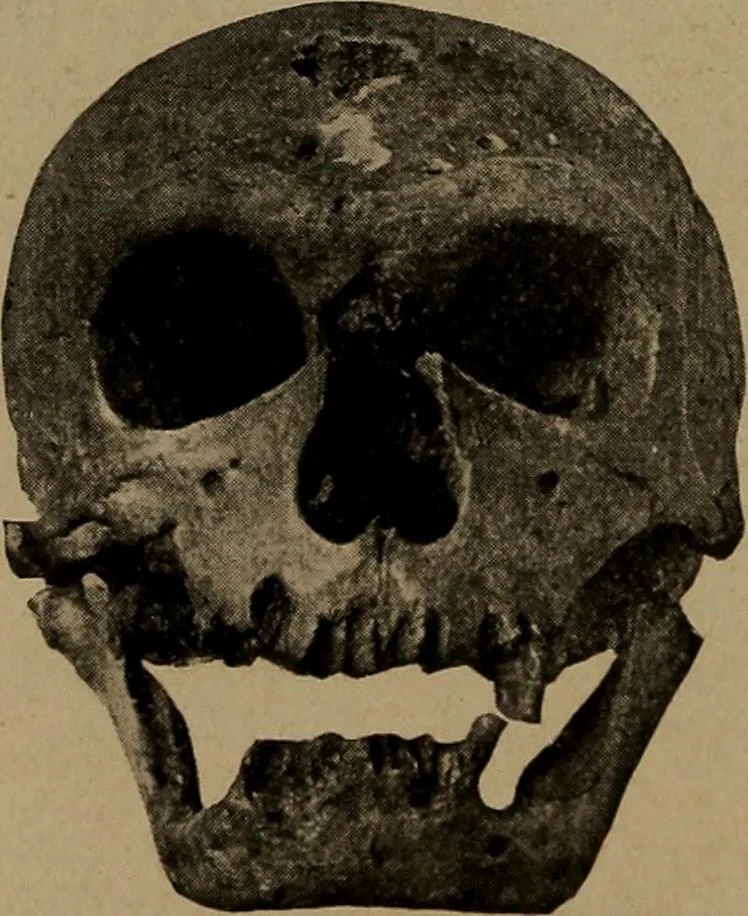 An illustration from Men of the old stone age, their environment, life and art, 1918, leaf 265