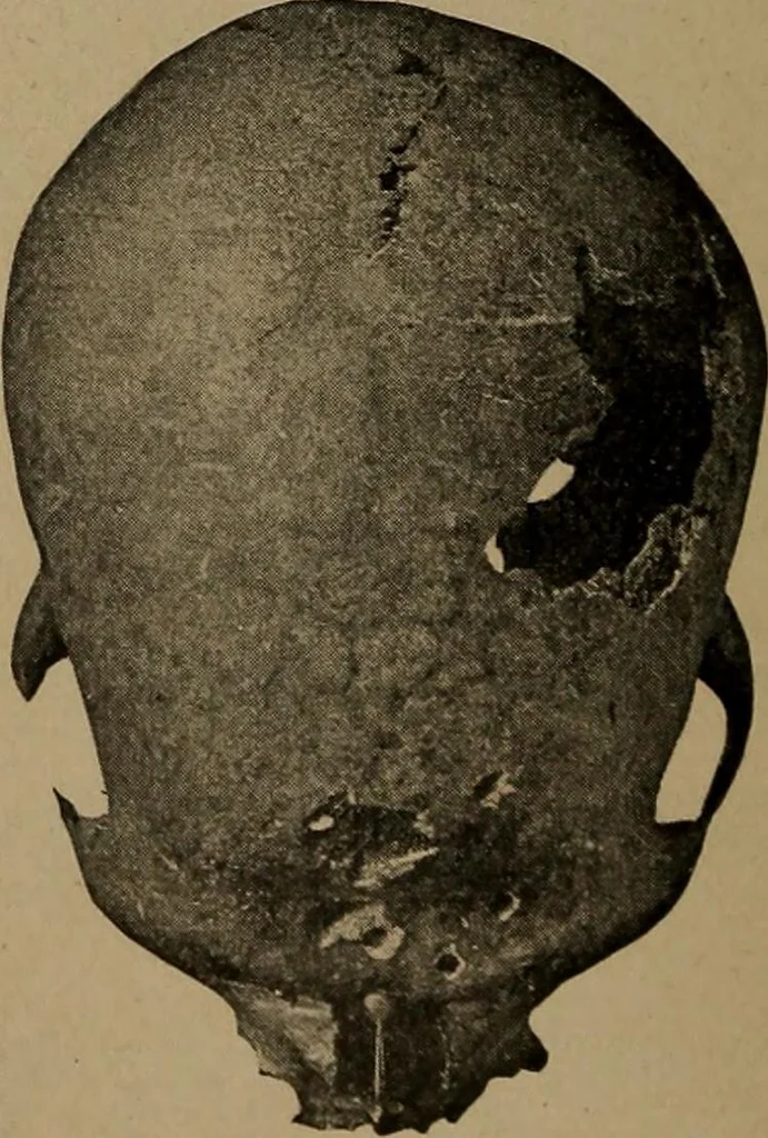 An illustration from Men of the old stone age, their environment, life and art, 1918, leaf 265