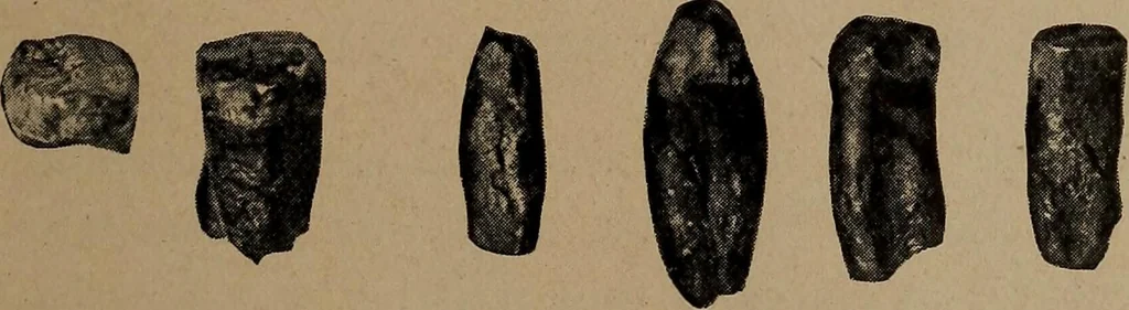An illustration from Men of the old stone age, their environment, life and art, 1918, leaf 266