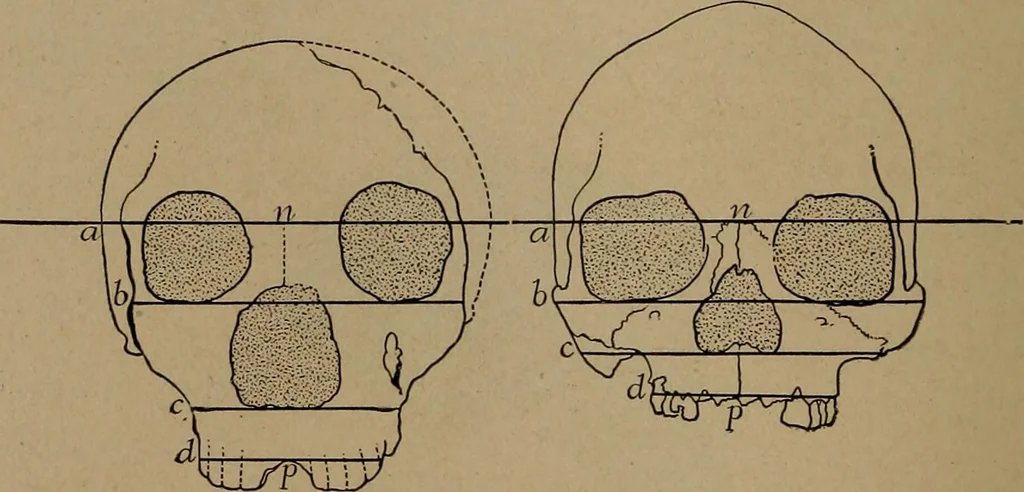 An illustration from Men of the old stone age, their environment, life and art, 1918, leaf 269