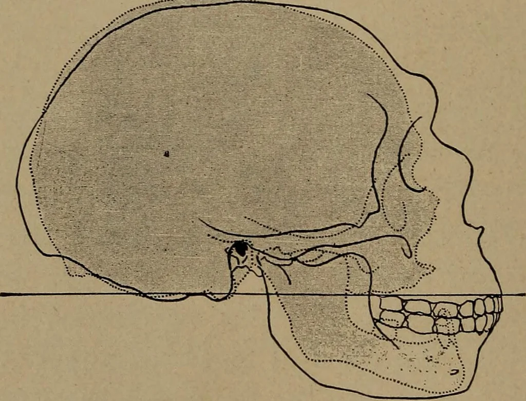 An illustration from Men of the old stone age, their environment, life and art, 1918, leaf 271