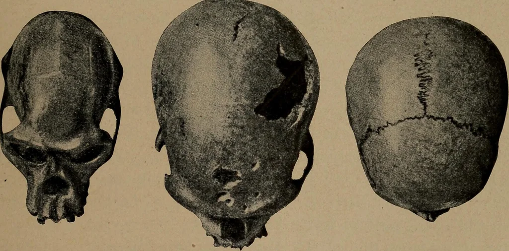 An illustration from Men of the old stone age, their environment, life and art, 1918, leaf 272