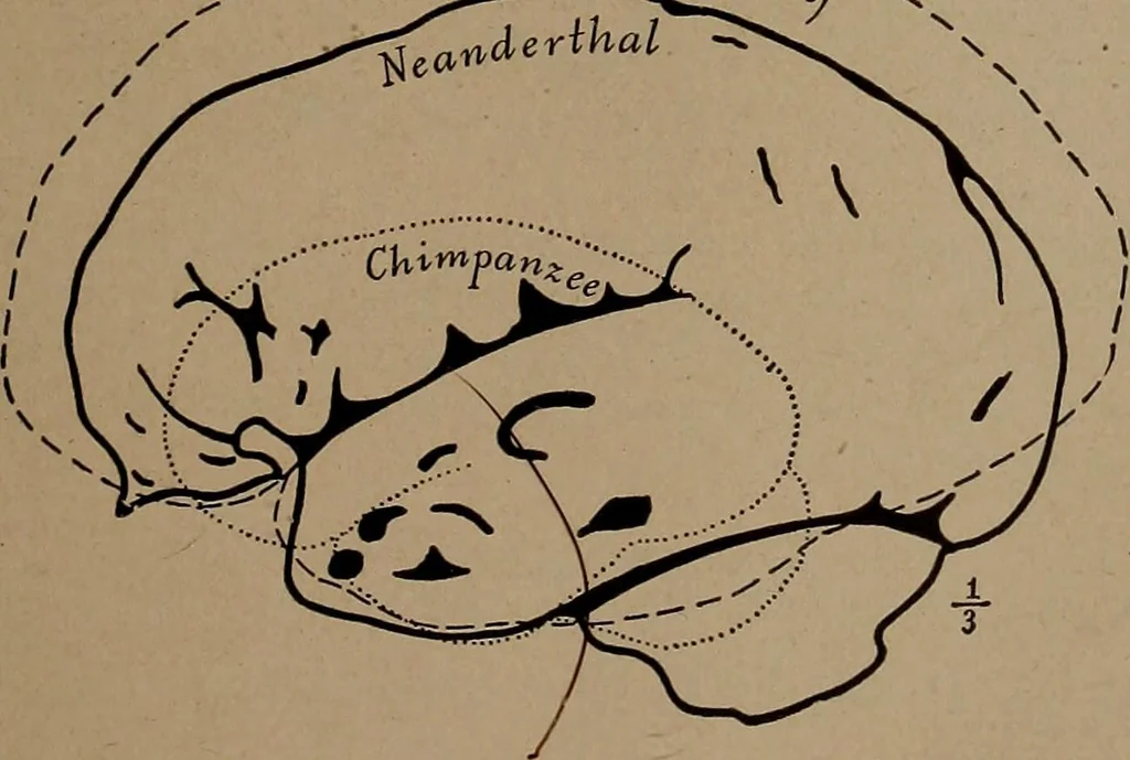 An illustration from Men of the old stone age, their environment, life and art, 1918, leaf 276