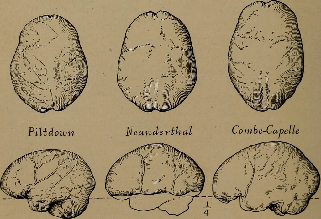 An illustration from Men of the old stone age, their environment, life and art, 1918, leaf 277