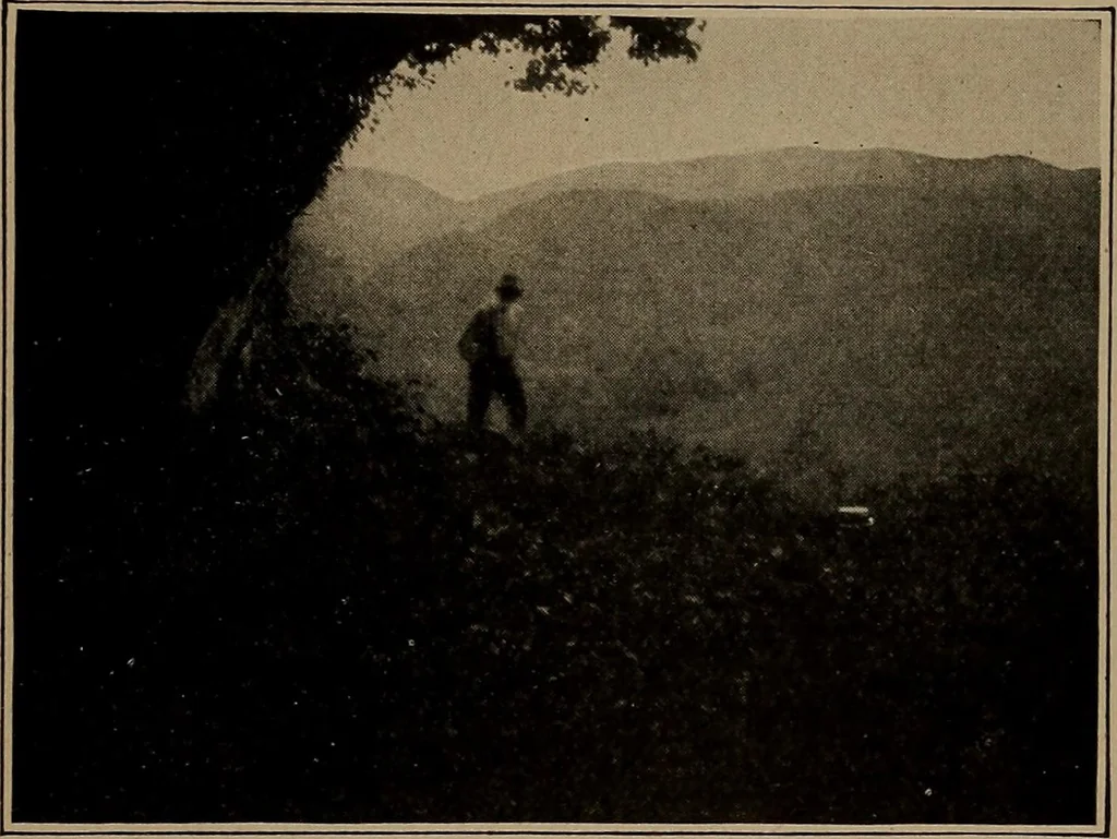 An illustration from Men of the old stone age, their environment, life and art, 1918, leaf 288