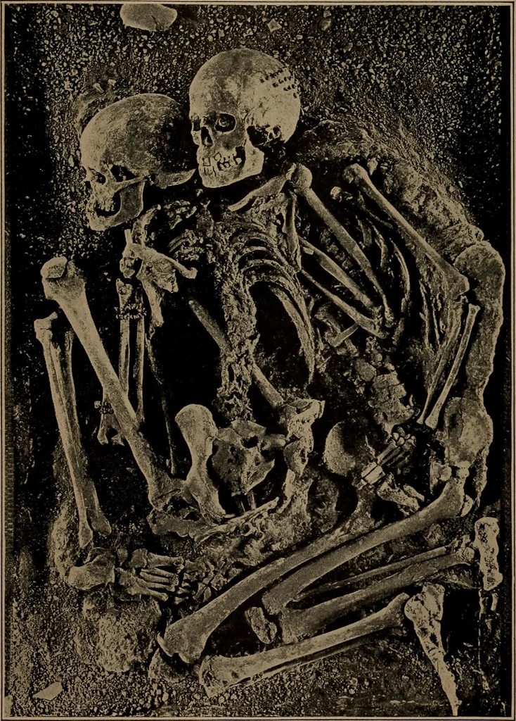 An illustration from Men of the old stone age, their environment, life and art, 1918, leaf 308