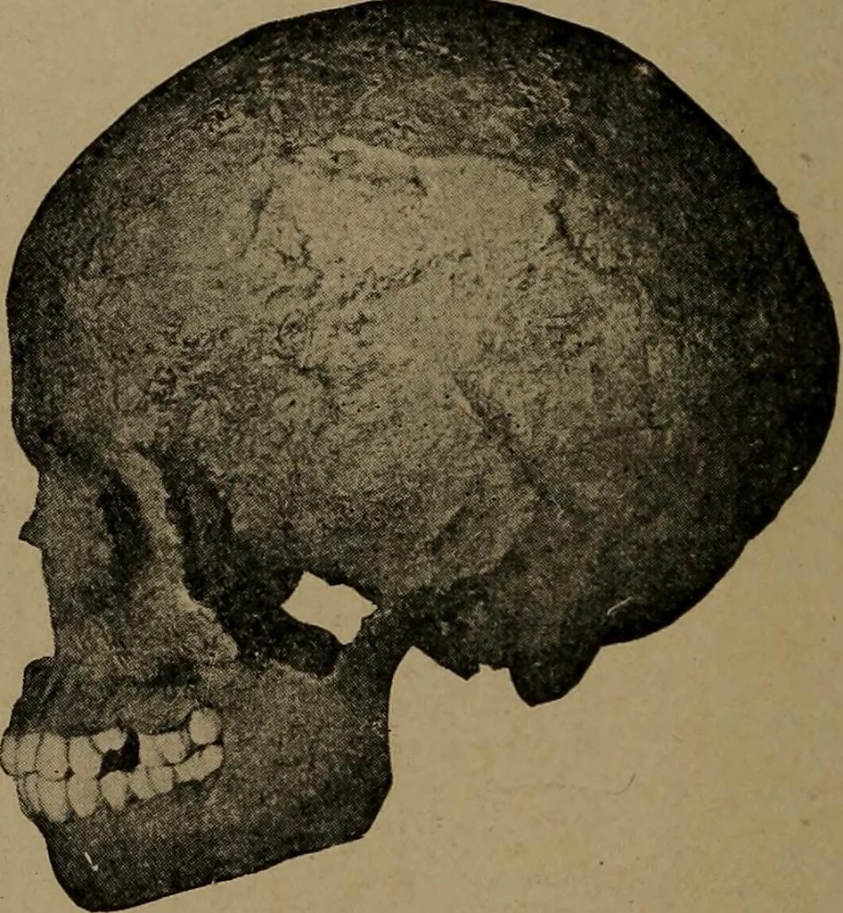 An illustration from Men of the old stone age, their environment, life and art, 1918, leaf 309