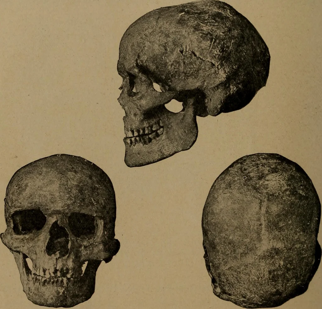 An illustration from Men of the old stone age, their environment, life and art, 1918, leaf 333