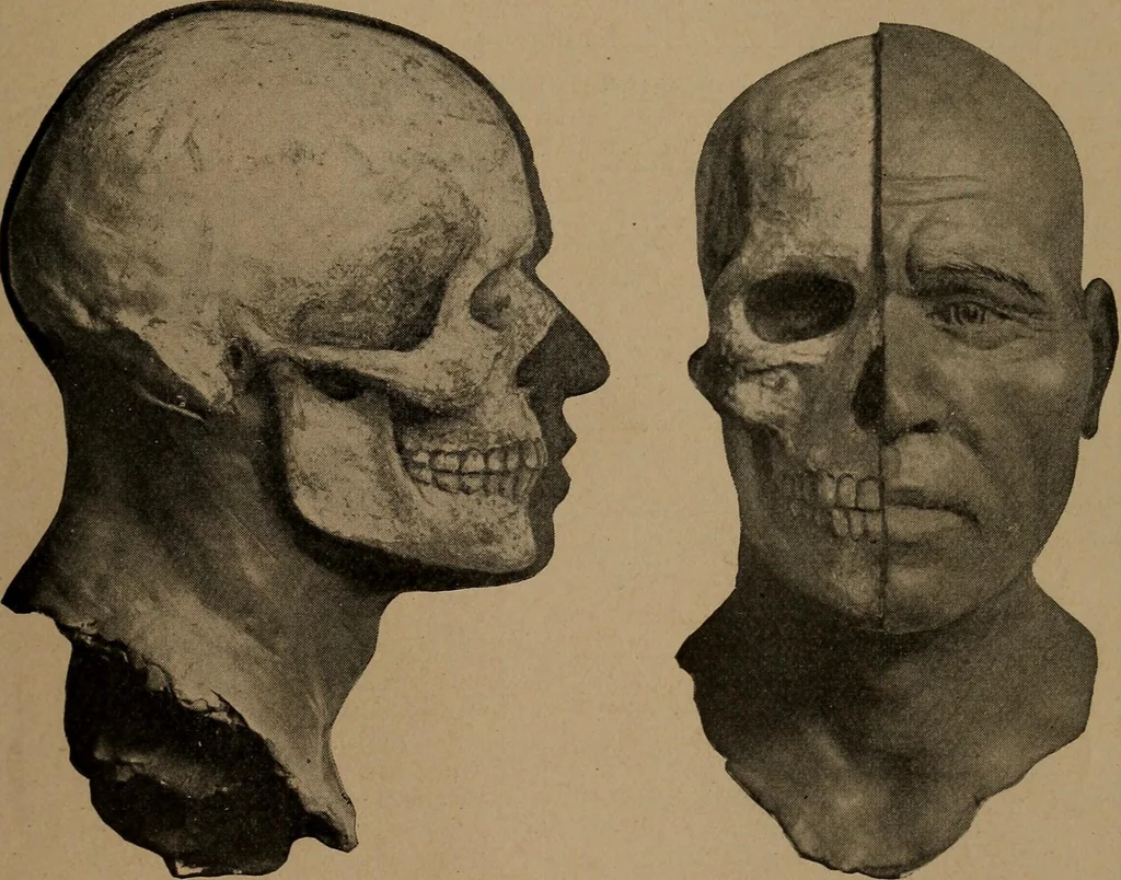 An illustration from Men of the old stone age, their environment, life and art, 1918, leaf 334