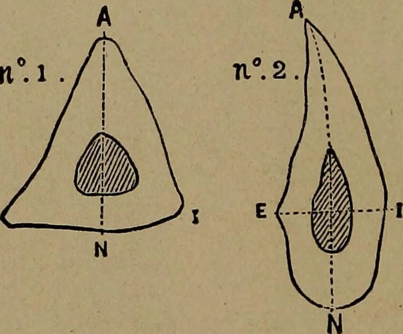 An illustration from Men of the old stone age, their environment, life and art, 1918, leaf 339