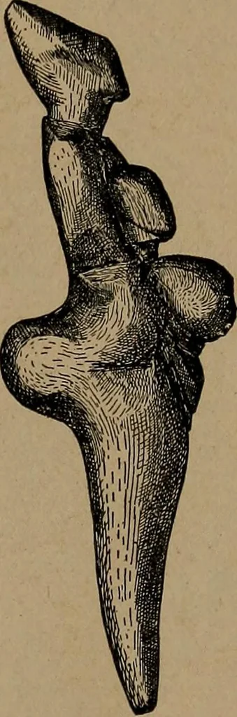An illustration from Men of the old stone age, their environment, life and art, 1918, leaf 362