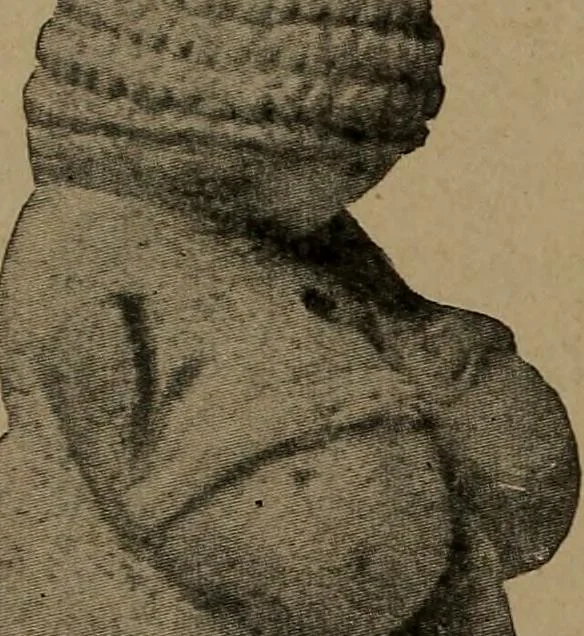 An illustration from Men of the old stone age, their environment, life and art, 1918, leaf 363