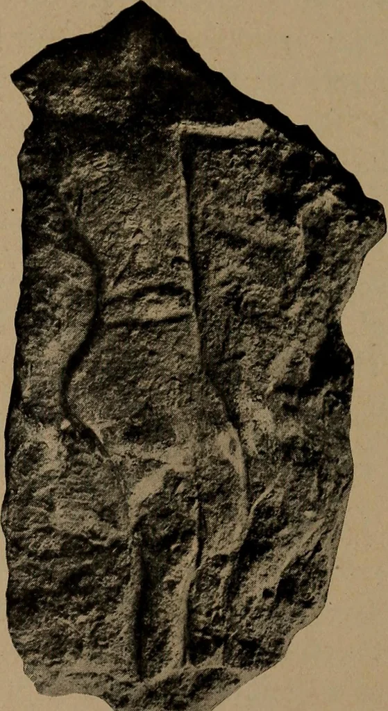 An illustration from Men of the old stone age, their environment, life and art, 1918, leaf 370