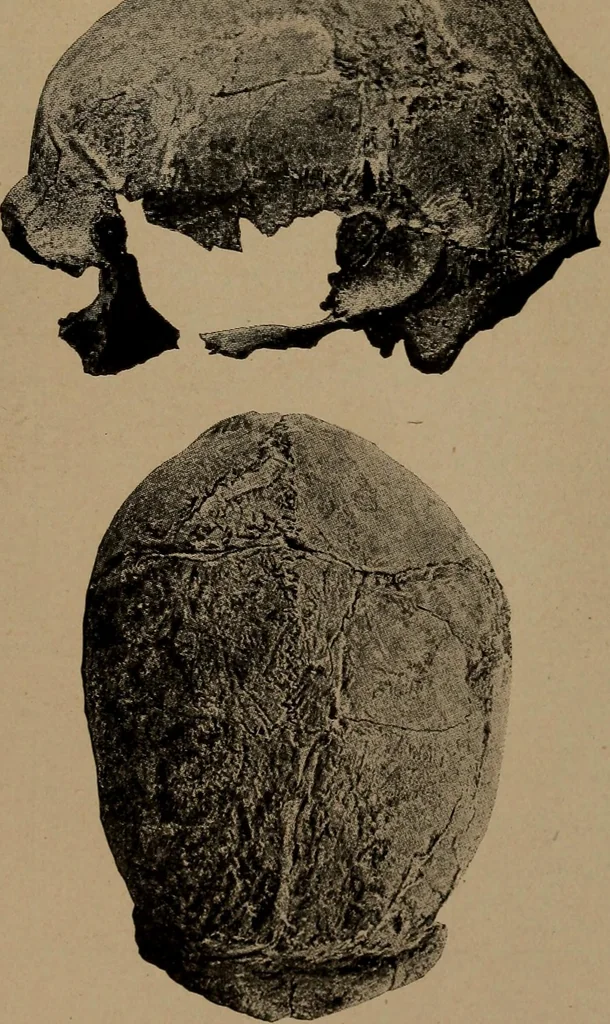 An illustration from Men of the old stone age, their environment, life and art, 1918, leaf 376