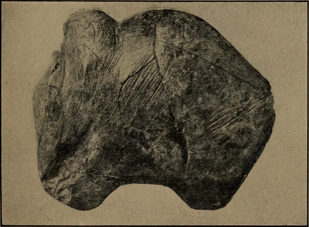 An illustration from Men of the old stone age, their environment, life and art, 1918, leaf 390