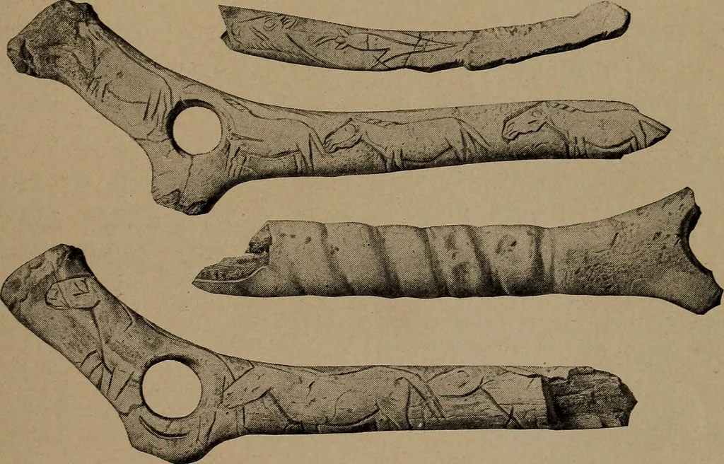 An illustration from Men of the old stone age, their environment, life and art, 1918, leaf 402