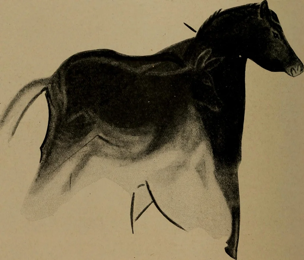 An illustration from Men of the old stone age, their environment, life and art, 1918, leaf 411