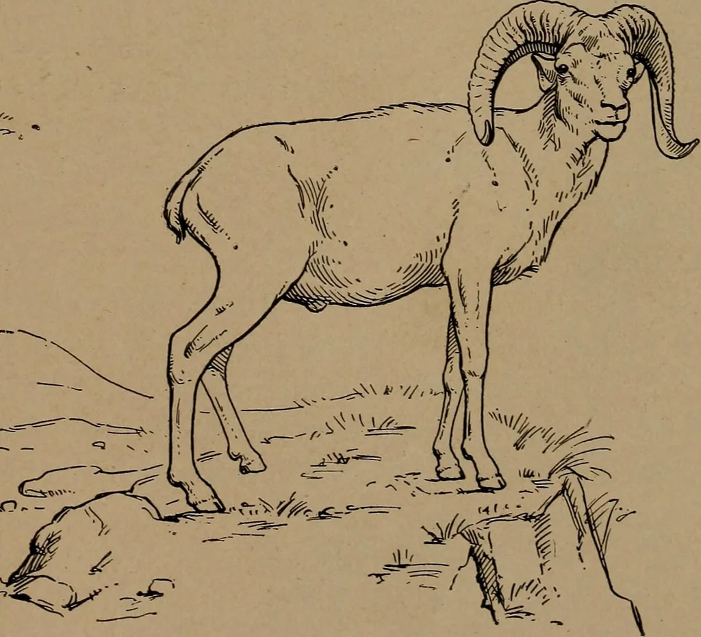 An illustration from Men of the old stone age, their environment, life and art, 1918, leaf 414