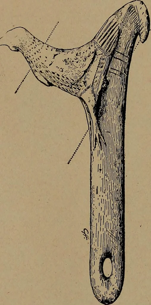 An illustration from Men of the old stone age, their environment, life and art, 1918, leaf 418