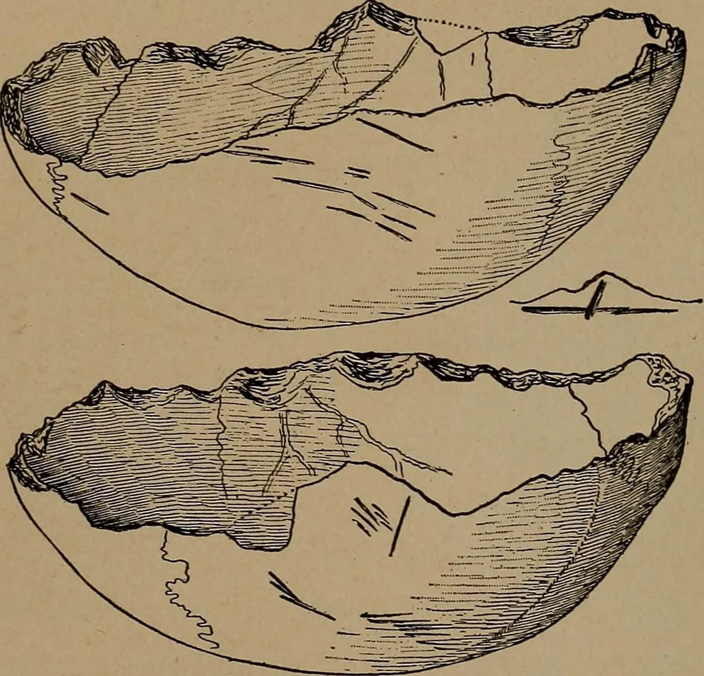 An illustration from Men of the old stone age, their environment, life and art, 1918, leaf 422