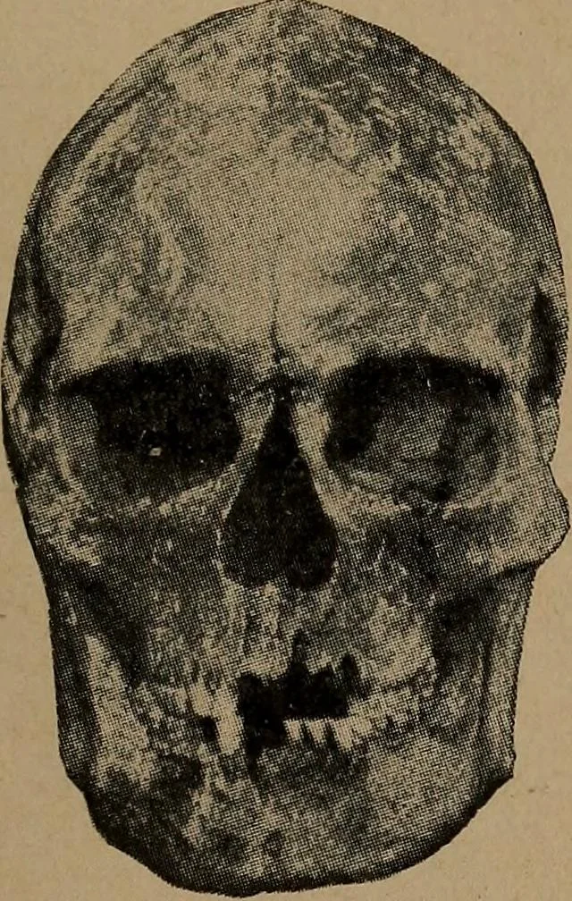 An illustration from Men of the old stone age, their environment, life and art, 1918, leaf 424