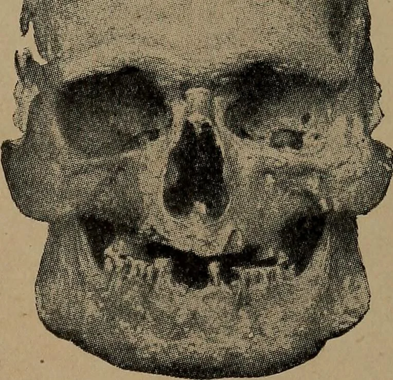 An illustration from Men of the old stone age, their environment, life and art, 1918, leaf 424
