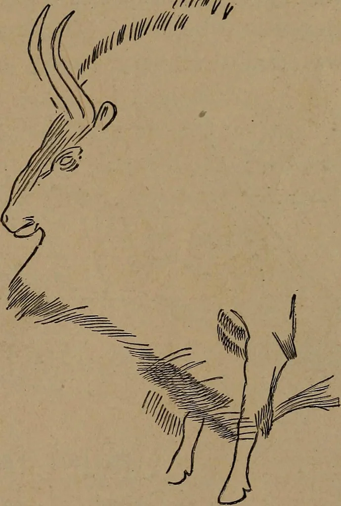 An illustration from Men of the old stone age, their environment, life and art, 1918, leaf 446