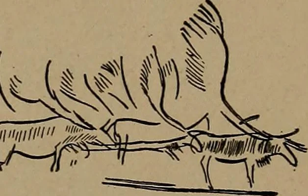 An illustration from Men of the old stone age, their environment, life and art, 1918, leaf 448