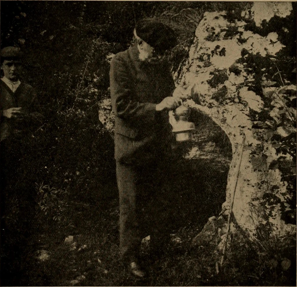 An illustration from Men of the old stone age, their environment, life and art, 1918, leaf 454