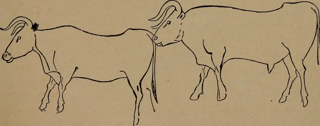 An illustration from Men of the old stone age, their environment, life and art, 1918, leaf 456