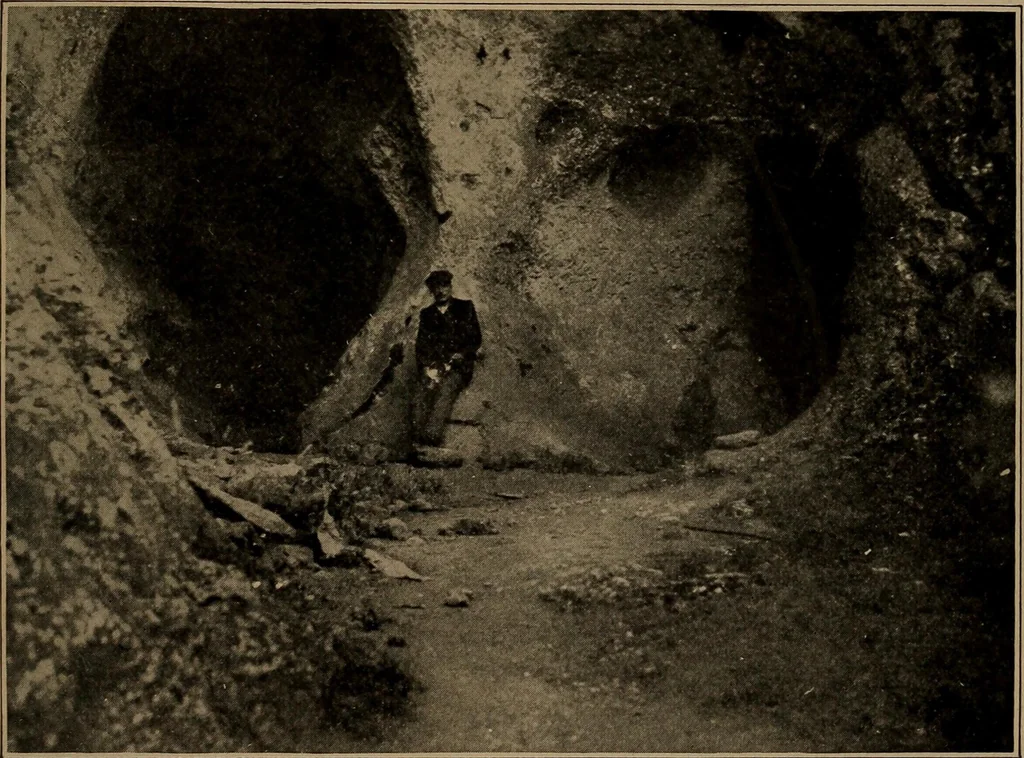 An illustration from Men of the old stone age, their environment, life and art, 1918, leaf 460