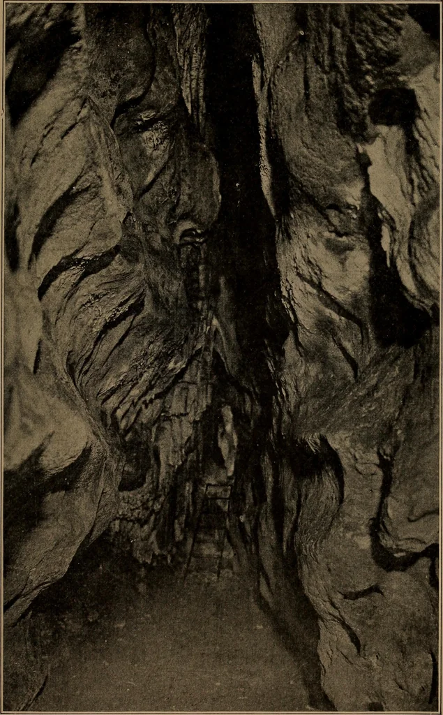 An illustration from Men of the old stone age, their environment, life and art, 1918, leaf 462