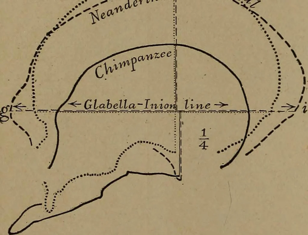 An illustration from Men of the old stone age, their environment, life and art, 1918, leaf 47