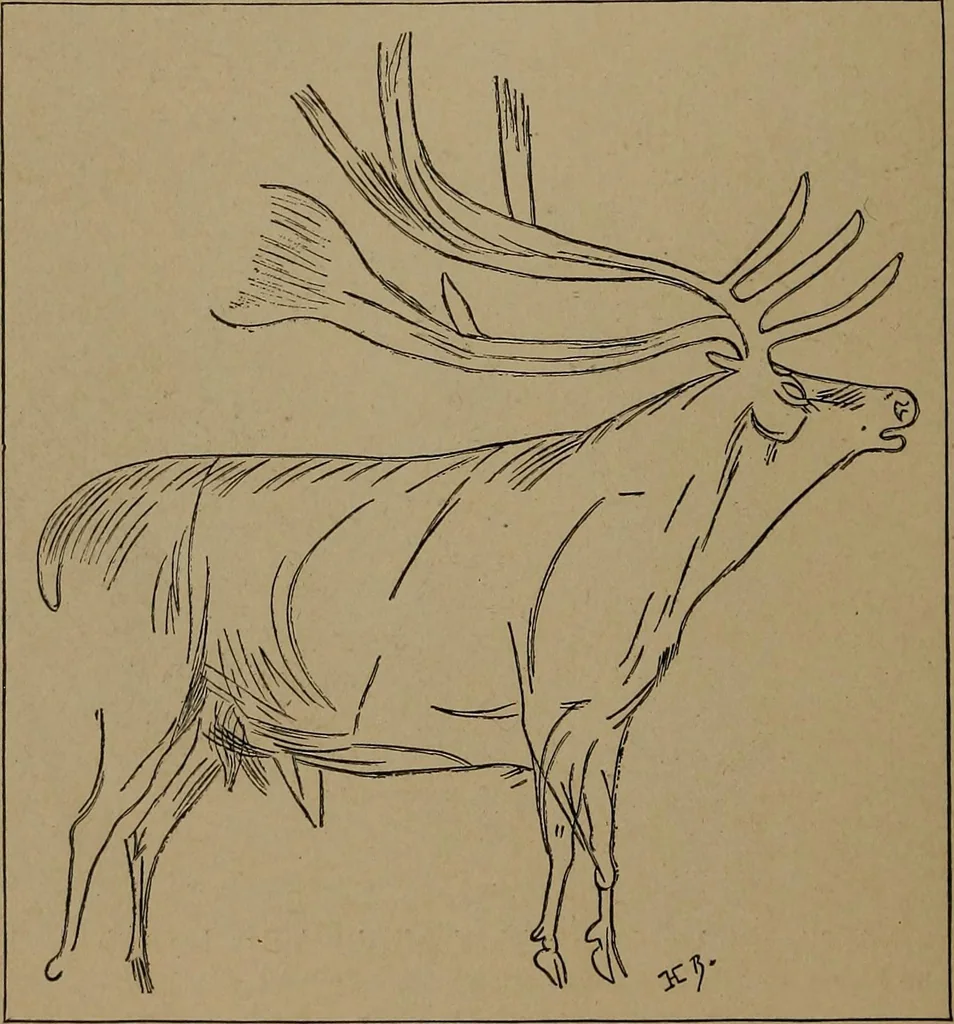 An illustration from Men of the old stone age, their environment, life and art, 1918, leaf 471