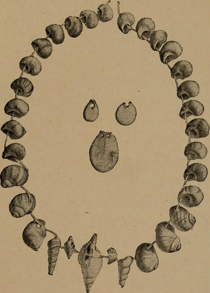 An illustration from Men of the old stone age, their environment, life and art, 1918, leaf 482