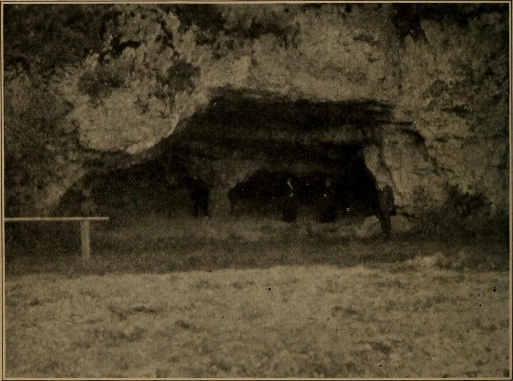 An illustration from Men of the old stone age, their environment, life and art, 1918, leaf 489