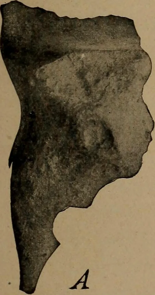 An illustration from Men of the old stone age, their environment, life and art, 1918, leaf 50