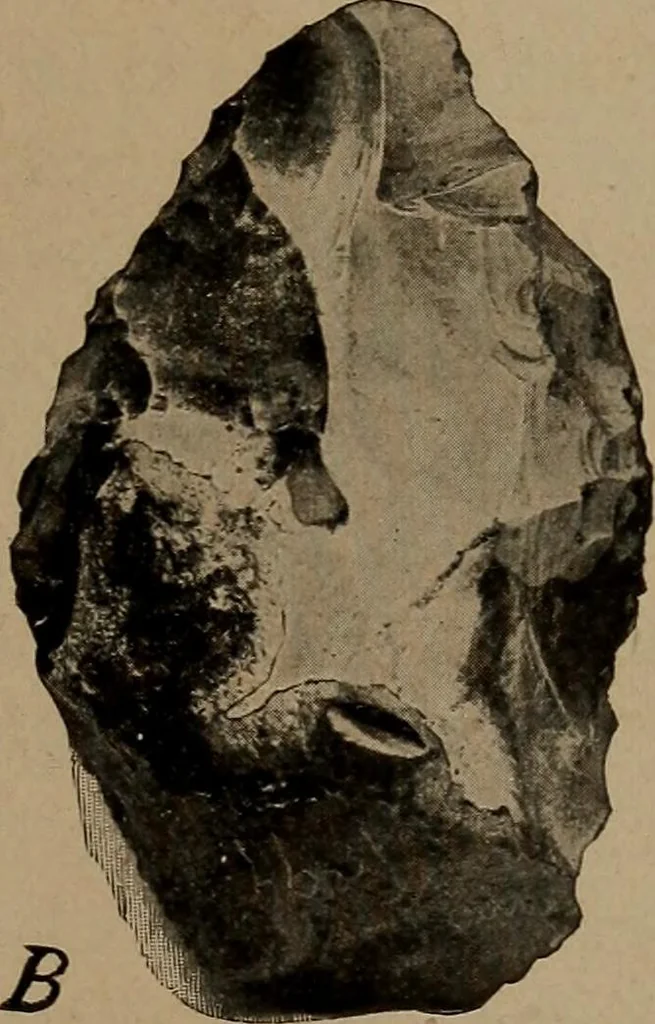 An illustration from Men of the old stone age, their environment, life and art, 1918, leaf 50