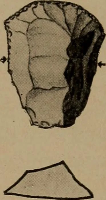 An illustration from Men of the old stone age, their environment, life and art, 1918, leaf 518
