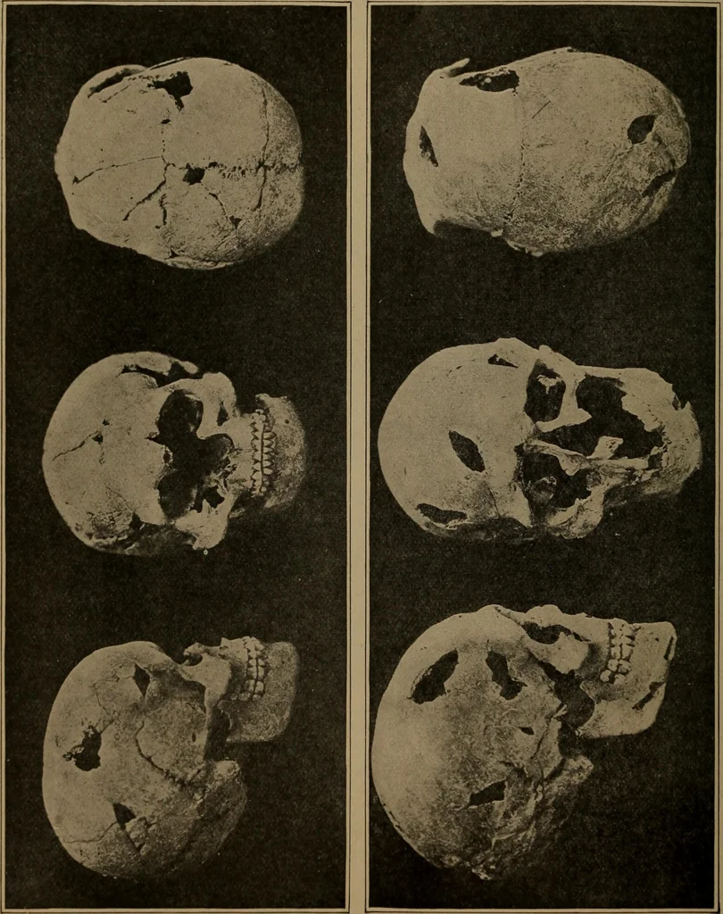 An illustration from Men of the old stone age, their environment, life and art, 1918, leaf 523