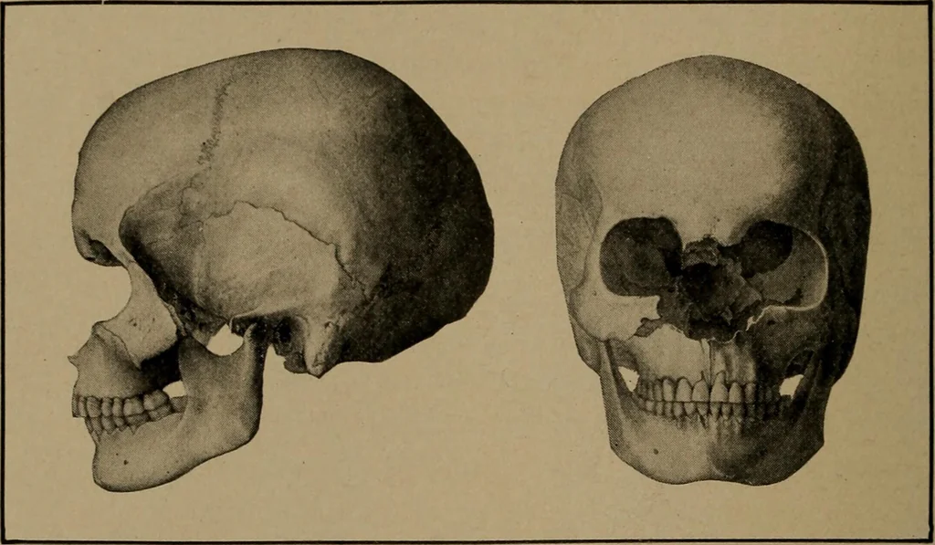 An illustration from Men of the old stone age, their environment, life and art, 1918, leaf 527
