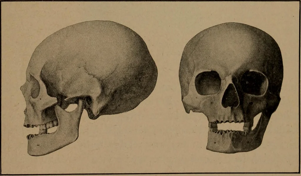 An illustration from Men of the old stone age, their environment, life and art, 1918, leaf 528