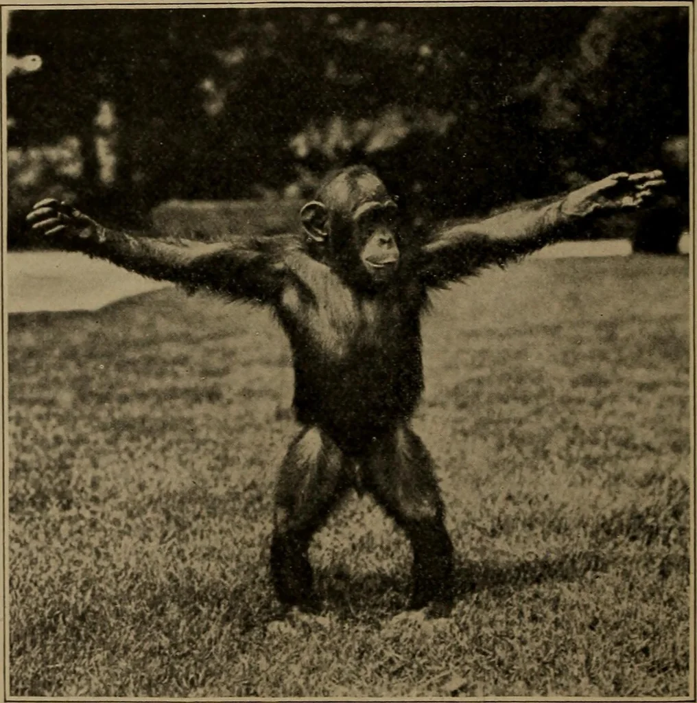 An illustration from Men of the old stone age, their environment, life and art, 1918, leaf 93