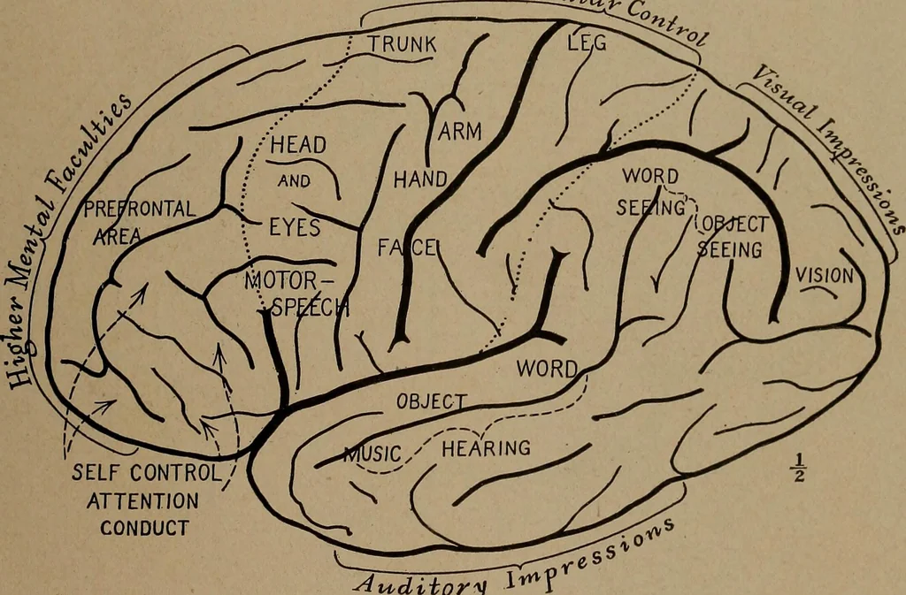 An illustration from Men of the old stone age, their environment, life and art, 1918, leaf 98