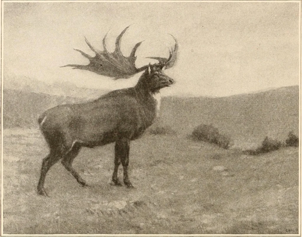 An illustration from Men of the old stone age, their environment, life and art, 1916, leaf 103