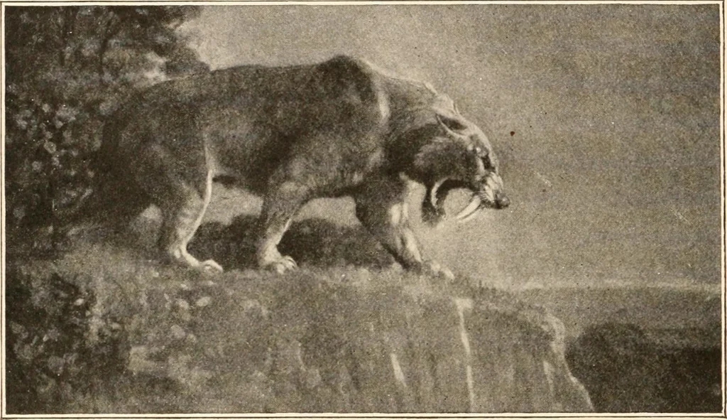 An illustration from Men of the old stone age, their environment, life and art, 1916, leaf 105